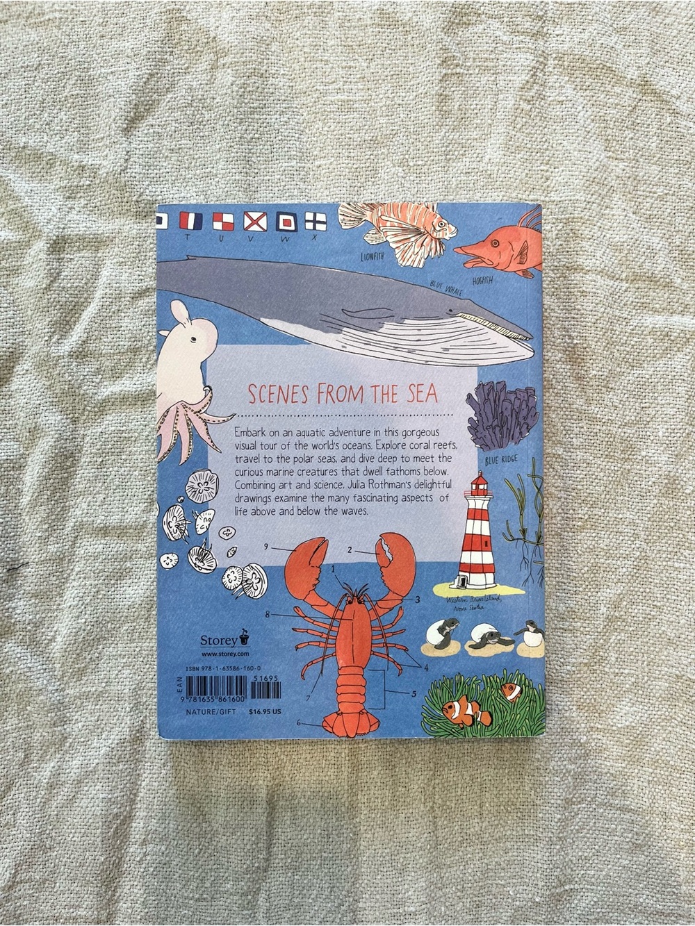 NEW Ocean Anatomy Book - Picture 2 of 3